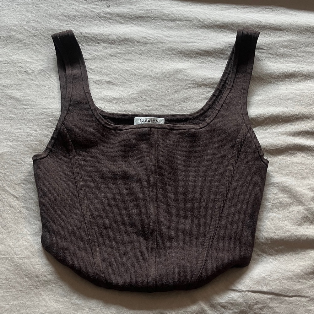 Aritzia Babaton Brown Corset Cropped Tank